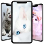 cute cat wallpaper android application logo